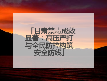 甘肃禁毒成效显著：高压严打与全民防控构筑安全防线
