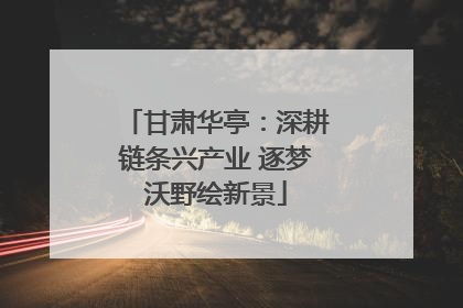 甘肃华亭：深耕链条兴产业 逐梦沃野绘新景