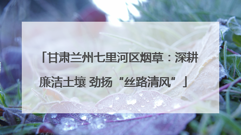 甘肃兰州七里河区烟草：深耕廉洁土壤 劲扬“丝路清风”