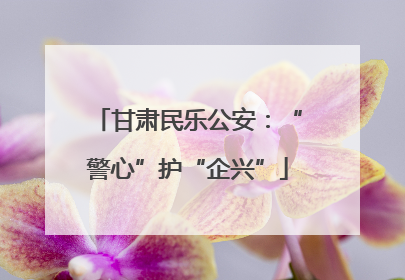 甘肃民乐公安：“警心”护“企兴”