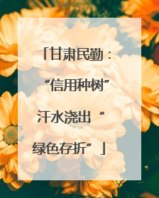 甘肃民勤：“信用种树” 汗水浇出“绿色存折”