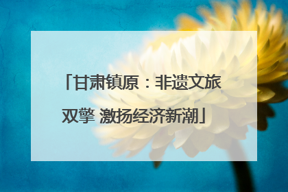甘肃镇原：非遗文旅双擎 激扬经济新潮