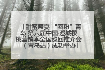 甜蜜盛宴 “圈粉”青岛 第六届中国·澄城樱桃营销季全国巡回推介会（青岛站）成功举办