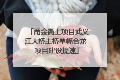 甬金衢上项目武义江大桥主桥单幅合龙 项目建设提速
