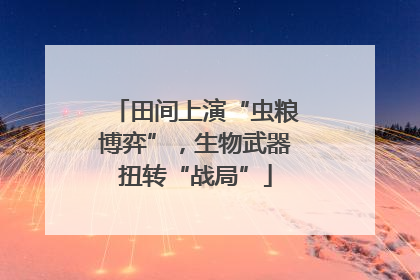 田间上演“虫粮博弈”，生物武器扭转“战局”