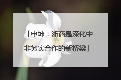 申坤：浙商是深化中非务实合作的新桥梁