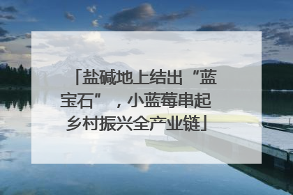 盐碱地上结出“蓝宝石”，小蓝莓串起乡村振兴全产业链