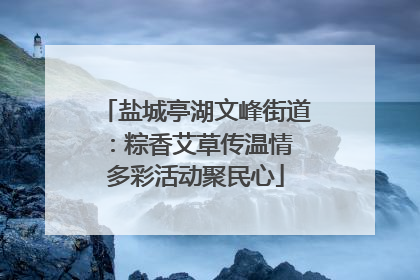 盐城亭湖文峰街道：粽香艾草传温情 多彩活动聚民心