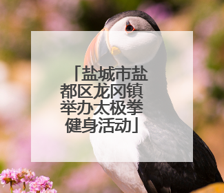 盐城市盐都区龙冈镇举办太极拳健身活动