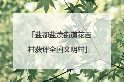 盐都盐渎街道花吉村获评全国文明村