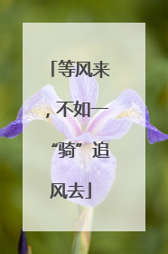 等风来，不如一“骑”追风去