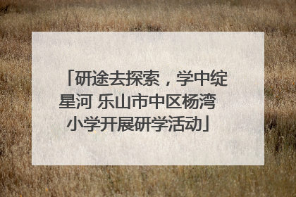 研途去探索，学中绽星河 乐山市中区杨湾小学开展研学活动