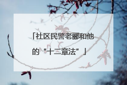 社区民警老郦和他的“十二章法”