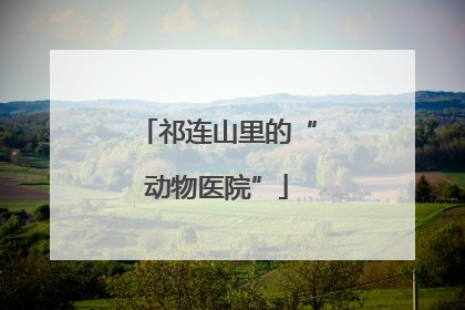 祁连山里的“动物医院”