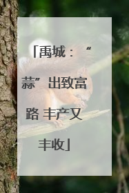 禹城：“蒜”出致富路 丰产又丰收