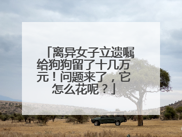 离异女子立遗嘱给狗狗留了十几万元！问题来了，它怎么花呢？