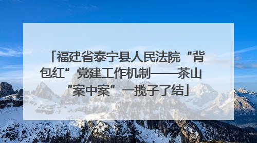 福建省泰宁县人民法院“背包红”党建工作机制——茶山“案中案”一揽子了结
