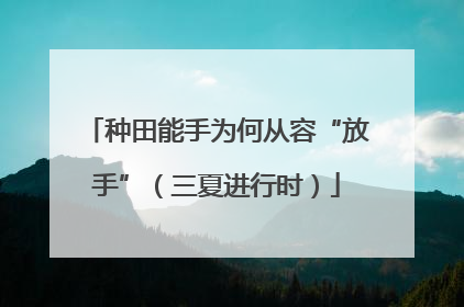 种田能手为何从容“放手”（三夏进行时）