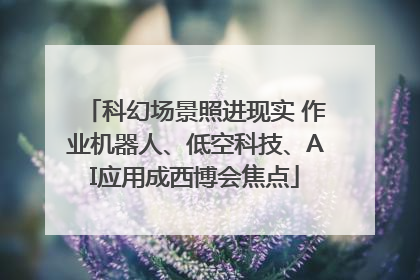 科幻场景照进现实 作业机器人、低空科技、AI应用成西博会焦点