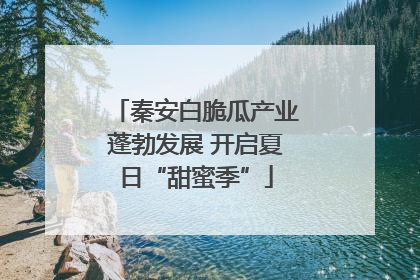 秦安白脆瓜产业蓬勃发展 开启夏日“甜蜜季”