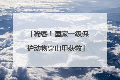 稀客！国家一级保护动物穿山甲获救