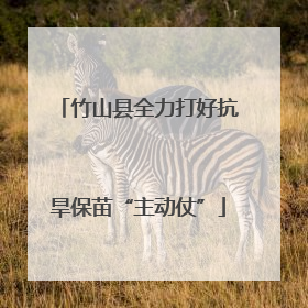 竹山县全力打好抗旱保苗“主动仗”