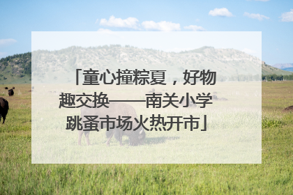 童心撞粽夏，好物趣交换——南关小学跳蚤市场火热开市