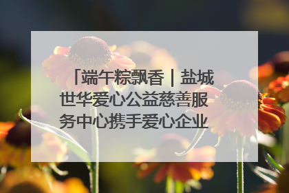 端午粽飘香｜盐城世华爱心公益慈善服务中心携手爱心企业发起情暖“城市守护者”慰问活动