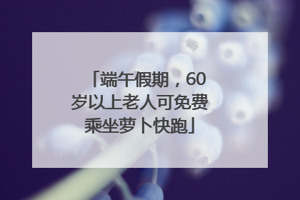 端午假期，60岁以上老人可免费乘坐萝卜快跑