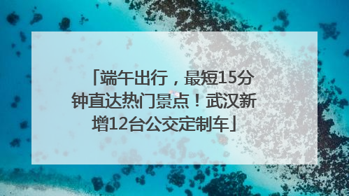 端午出行，最短15分钟直达热门景点！武汉新增12台公交定制车
