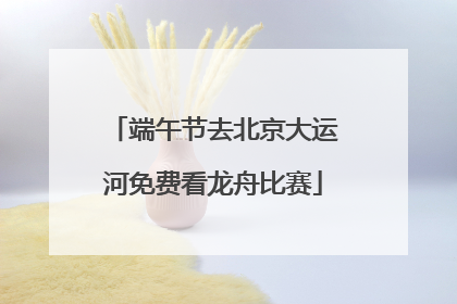 端午节去北京大运河免费看龙舟比赛