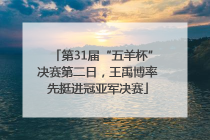 第31届“五羊杯”决赛第二日，王禹博率先挺进冠亚军决赛
