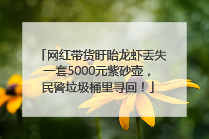 网红带货盱眙龙虾丢失一套5000元紫砂壶，民警垃圾桶里寻回！