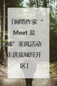 网络作家“Meet 盐城”采风活动走进盐城经开区