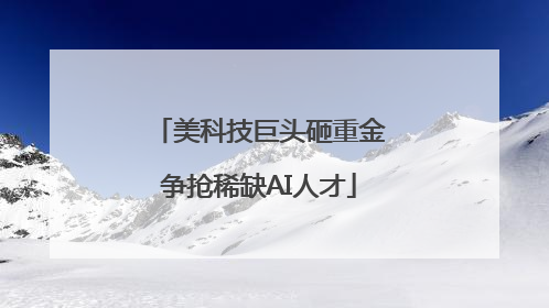 美科技巨头砸重金争抢稀缺AI人才