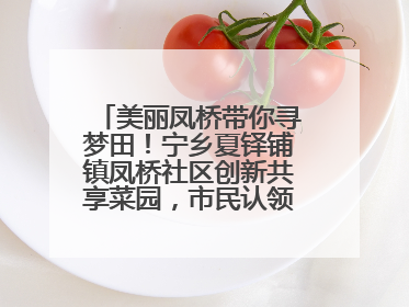 美丽凤桥带你寻梦田！宁乡夏铎铺镇凤桥社区创新共享菜园，市民认领菜土，体验耕种收获乐趣