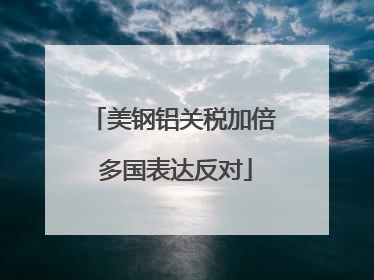 美钢铝关税加倍 多国表达反对