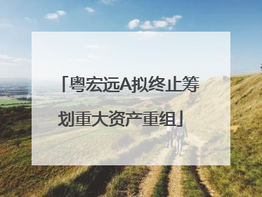 粤宏远A拟终止筹划重大资产重组