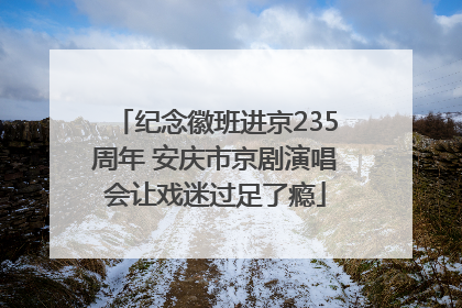 纪念徽班进京235周年 安庆市京剧演唱会让戏迷过足了瘾