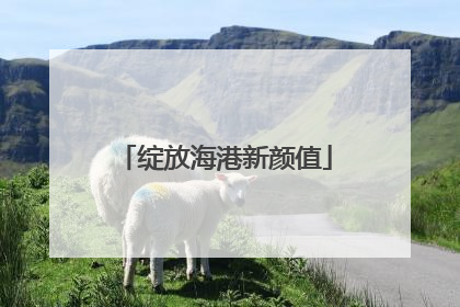 绽放海港新颜值