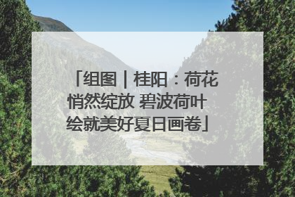 组图｜桂阳：荷花悄然绽放 碧波荷叶绘就美好夏日画卷
