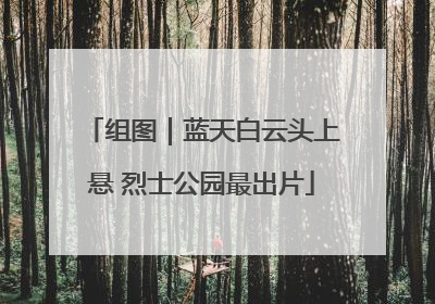 组图｜蓝天白云头上悬 烈士公园最出片