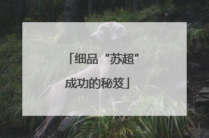 细品“苏超”成功的秘笈