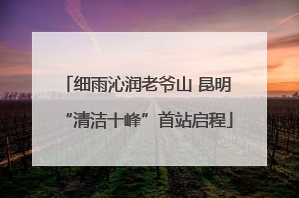 细雨沁润老爷山 昆明“清洁十峰”首站启程