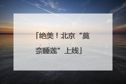 绝美！北京“莫奈睡莲”上线
