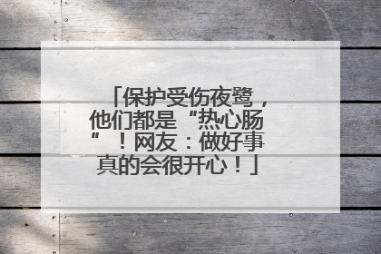 保护受伤夜鹭，他们都是“热心肠”！网友：做好事真的会很开心！