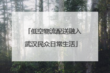 低空物流配送融入武汉民众日常生活