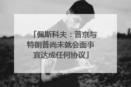 佩斯科夫：普京与特朗普尚未就会面事宜达成任何协议