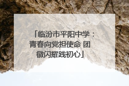临汾市平阳中学：青春向党担使命 团徽闪耀践初心