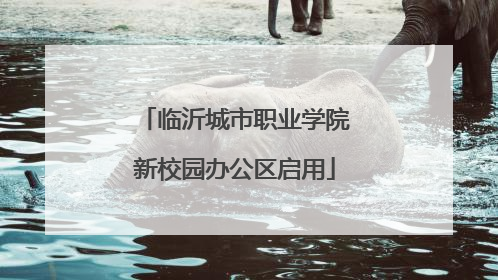 临沂城市职业学院新校园办公区启用